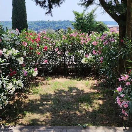 Cozy Дом отдыха *